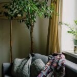 Affordable Tips for a Cozy and Inviting Home Environment